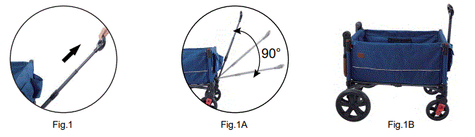 EVER-ADVANCED-TR-21836-Side-Unzip-Wagon-Stroller-for-2-Kids-fig-15