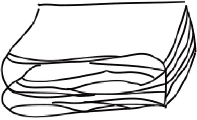 Assembly Instruction