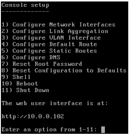TrueNAS Mini Family Basic Setup User Guide - Console Setup