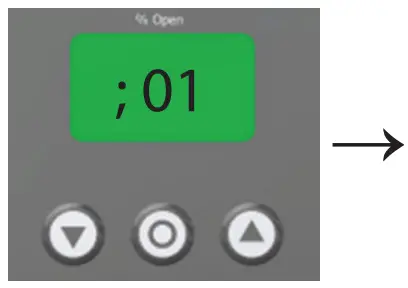 Programming The ICAD 
