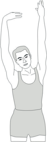 Skandika Nemo III Hybrid Water Rowing Machine - h1