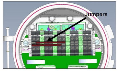 THERMON PN50890 Dual Point Control and Monitoring Solution - Jumper Connections