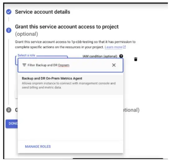 actifio 8.0 Object Storage Webinar with Demo - typing