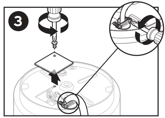 Remove Existing Disposer