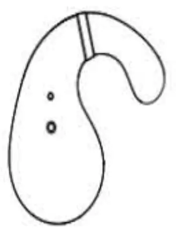 Bluetooth earphone user manual