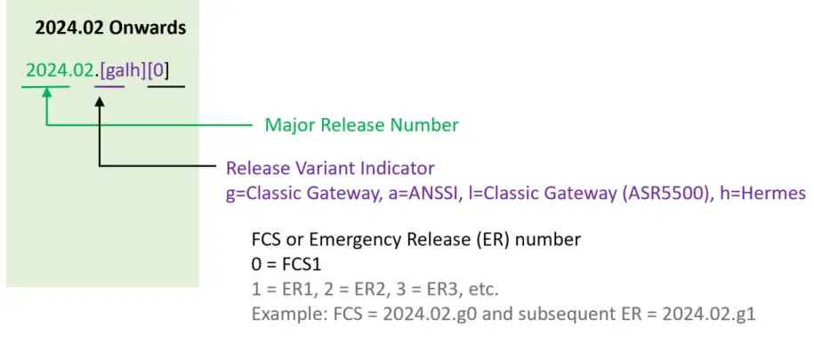 CISCO-Release-Notes-for-the-StarOS-Software- (2)