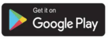Google Play Icon