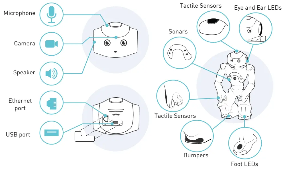 Generation ROBOTS NAO 6 Programmable Humanoid Robot - Overview