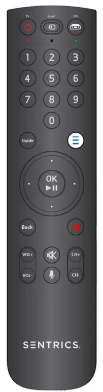 HCS-RC366C-Remote-Control-Replacement-IR-fig-1