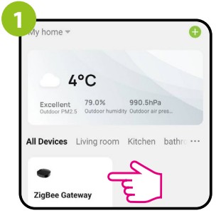 ENGO Controls EONE230W Internet Controlled Thermostat - Enter the gateway interface