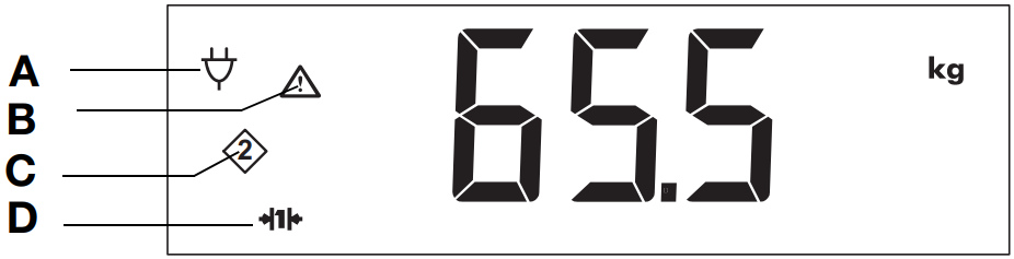 Seca 658 EMR Multifunctional Scale - Symbols display