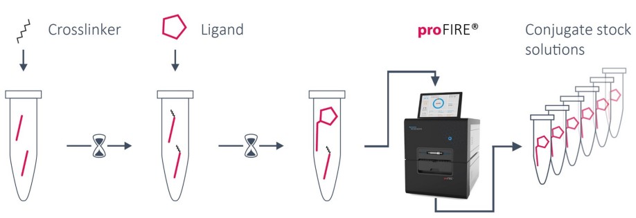dynamic BIOSENSORS heliX plus Amine Coupling Kit 1 - Workflow Overview