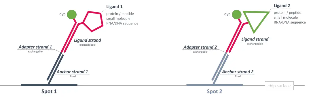 Helix® Adapter Chip Overview