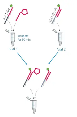 dynamic-BIOSENSORS-AS-2-Gc-lfs-Adapter-Strand-2-fig-2