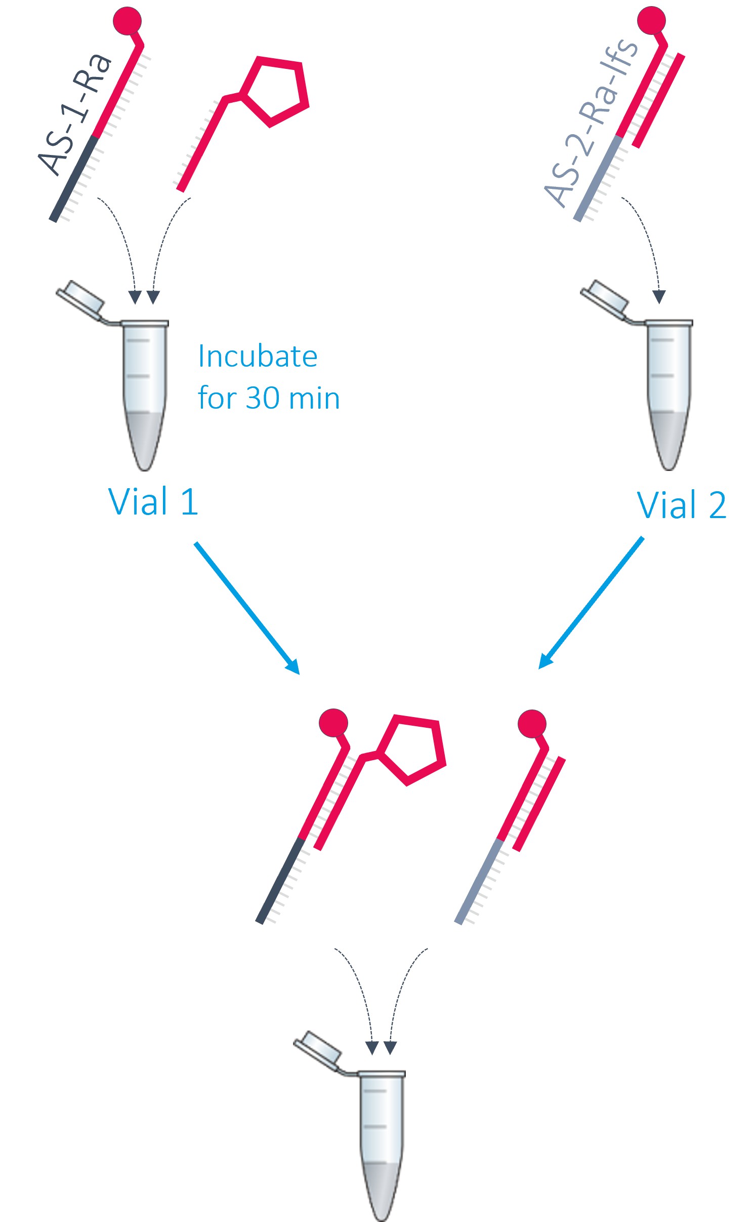 dynamic BIOSENSORS ASP 1 Ra Adapter Strand Package - Preparation 1