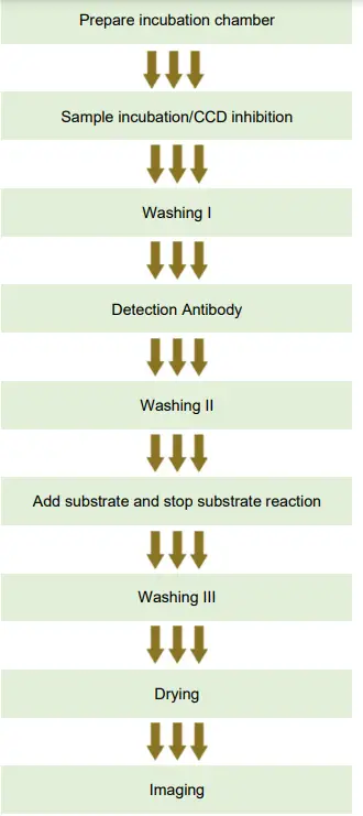 MacroArray-ALLERGY-XPLORER-Macro-Array-Diagnostics- (3)