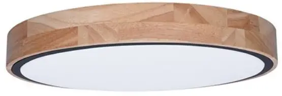 WO800-OEM3-LED-Lighting-With-Remote-Control-product..