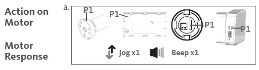 Bespoke-15-Channel-Programming-Remote-Control-image (1)