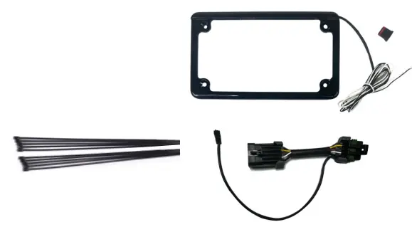 Custom-Dynamics-CD-LPF-RZRPRO-License-Plate-Frame-With-Tag-Light-FIG-1 (2)