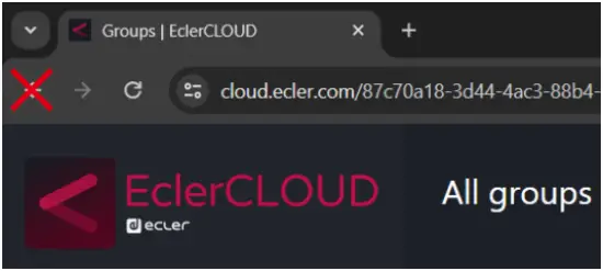 EclerCLOUD Remote Monitoring and Control Platform - web page