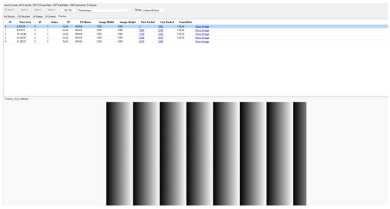 MICROCHIP MIPI CSI 2 Transit FMC - Test Pattern—MIPI Analyzer