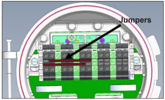 THERMON Genesis Duo Dual Point Control and Monitoring Solution - Jumper Connections