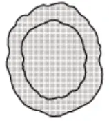 Product contents