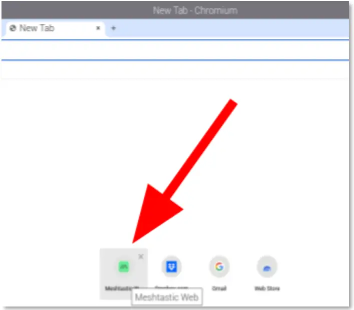 Using The Meshtastic Client