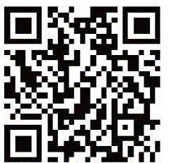 CONSPIT-CPP-LITE-290-GP-Formula-Wheel-image (1)