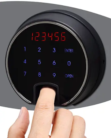 phoenix-DS2000F-Data-Safe-with-Fingerprint-Lock-product