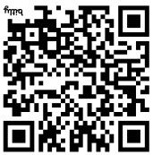 Flycatcher Pixelator 2.0 Peg Extra Set - QR code