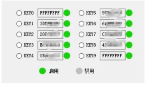 OBDII APPRO2 Key Programmer Mileage Correction Tool - Loading the Password Programmer Generates the Key Step
